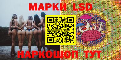 хмурый Можга