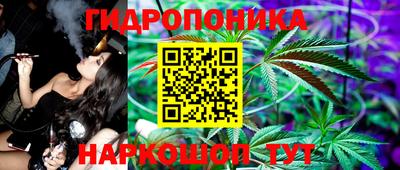 хмурый Можга