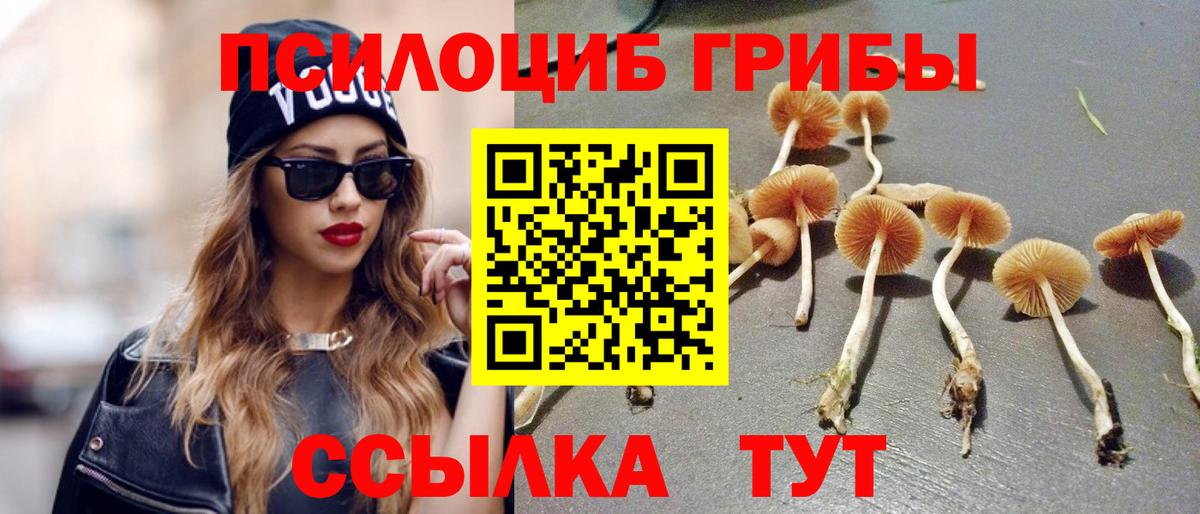 где найти наркотики  Вход с VPN  Галлюциногенные грибы Psilocybe  Пенза  Галлюциногенные грибы прущие грибы 